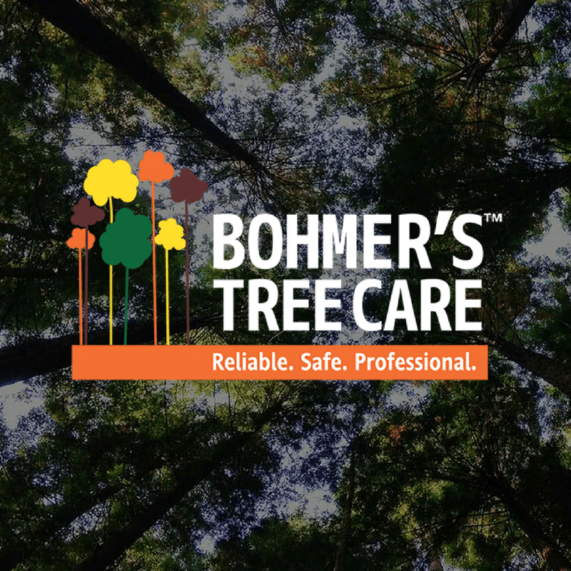 Bohmers Tree Care Blog Cover