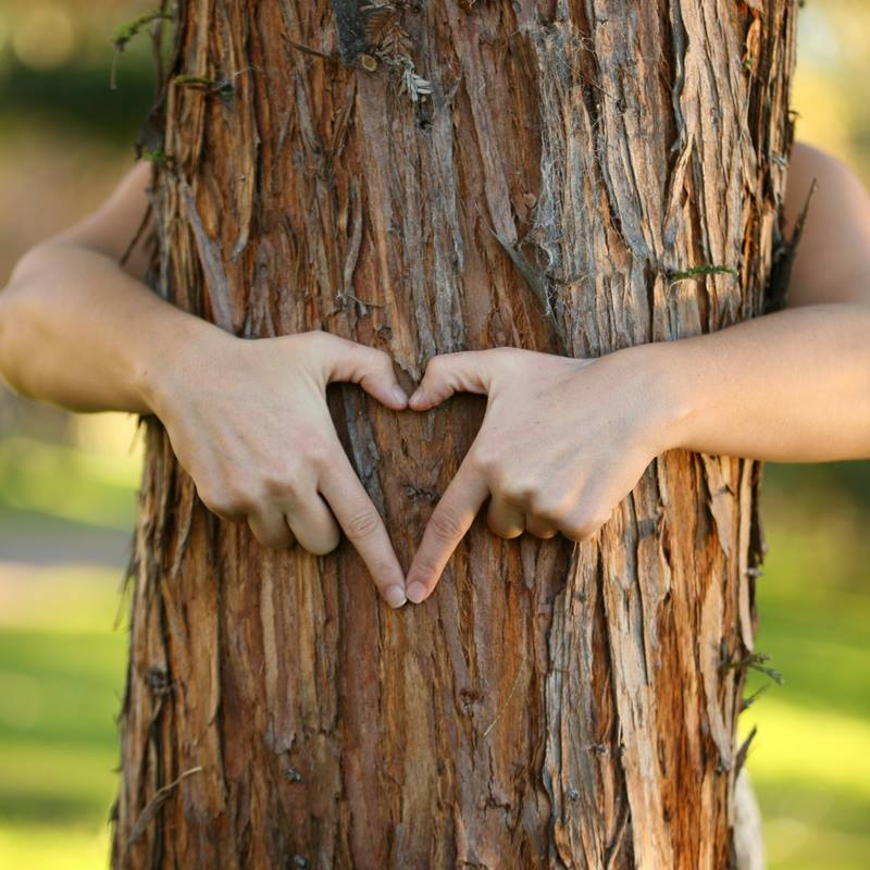 Win a visit from Wollongong's own Tree Whisperer to your school to celebrate National Tree Day